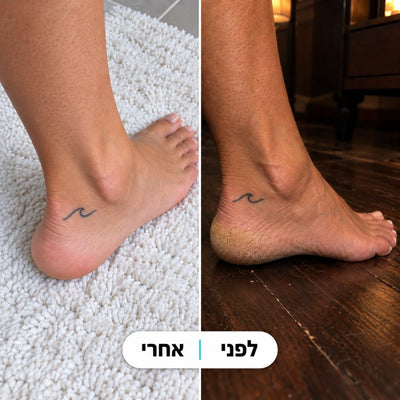 אור דוד